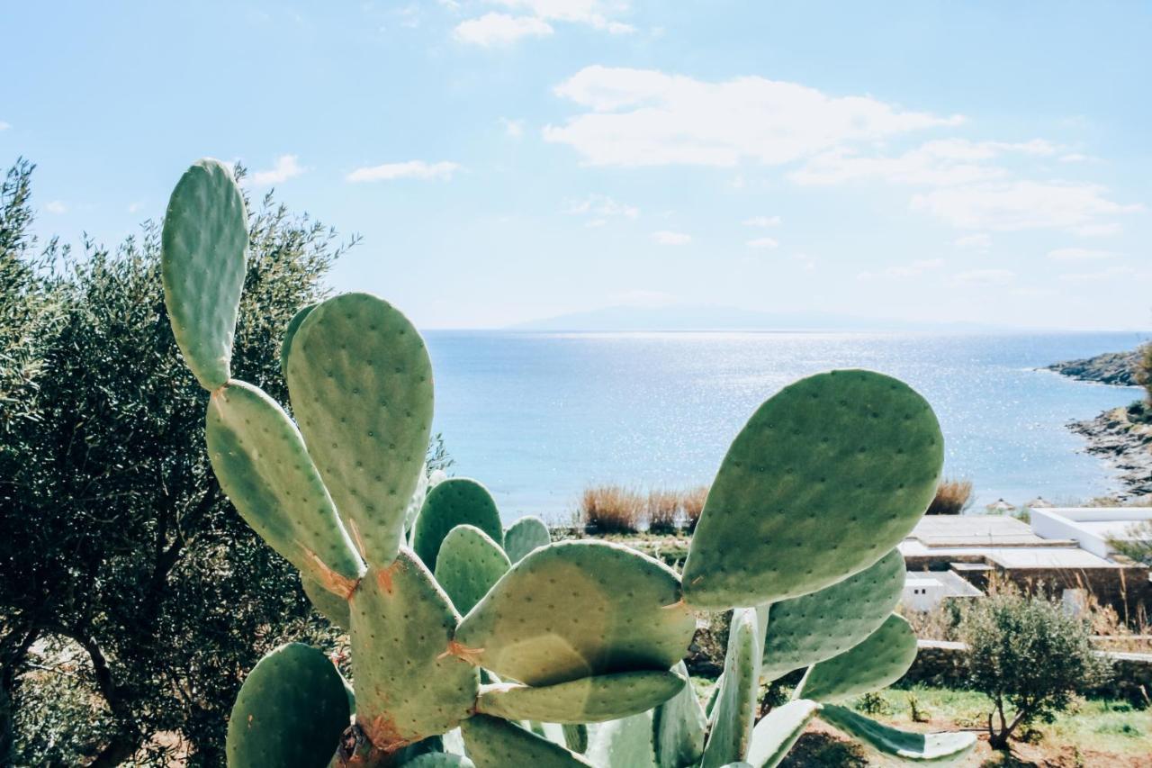 Вилла The Elaia House Mykonos Орнос Экстерьер фото
